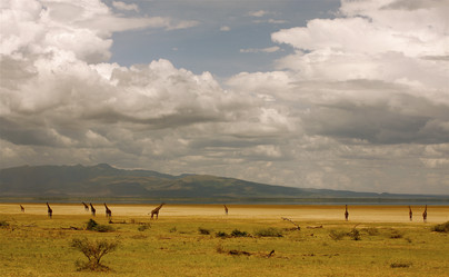 Similar image 199937