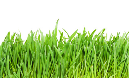 Similar image 199942