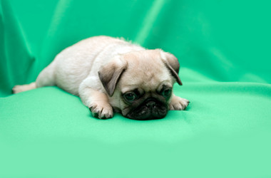 Similar image 199967