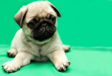 Similar image 199968