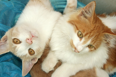 Similar image 199970