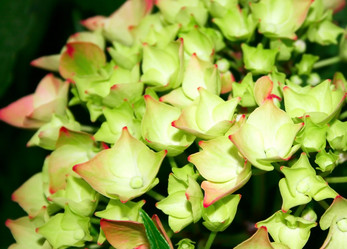 Similar image 199976