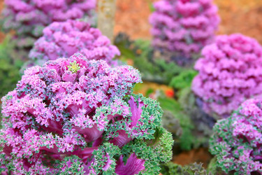 Similar image 199977