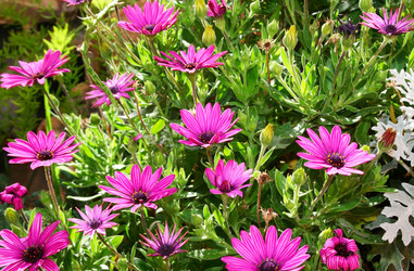 Similar image 199978