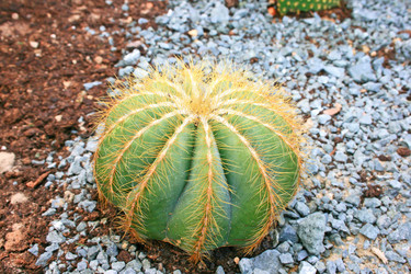 Similar image 199979