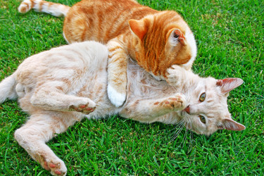 Similar image 200028