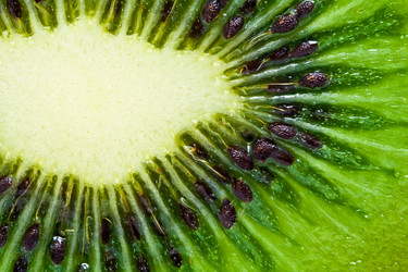 Similar image 200034