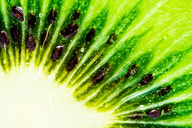 Similar image 200082