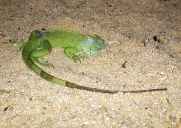 Similar image 200145