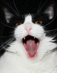 Similar image 200146