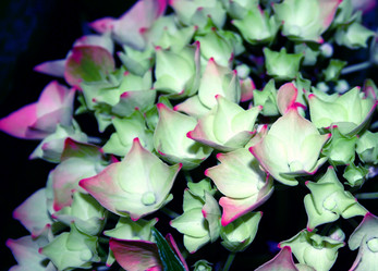 Similar image 200171