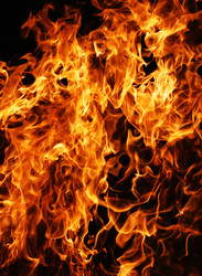 Similar image 200183