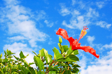 Similar image 200187