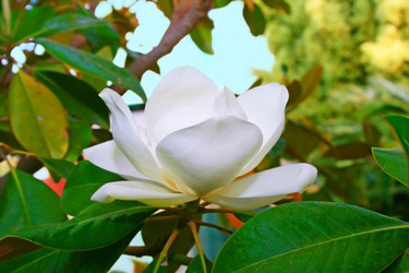 Similar image 200189