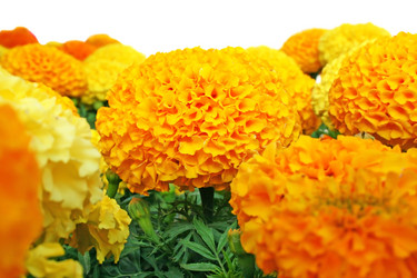 Similar image 200196