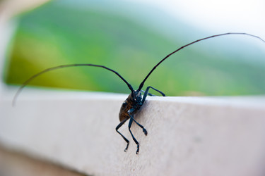 Similar image 200197