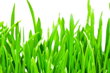 Similar image 200199