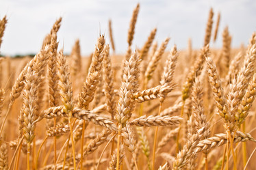 Similar image 200277