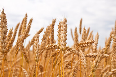 Similar image 200280