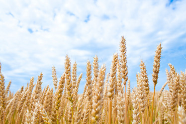 Similar image 200281