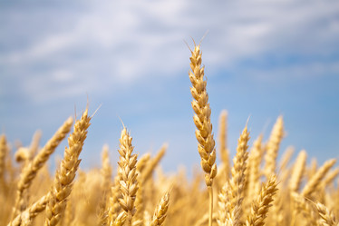 Similar image 200283