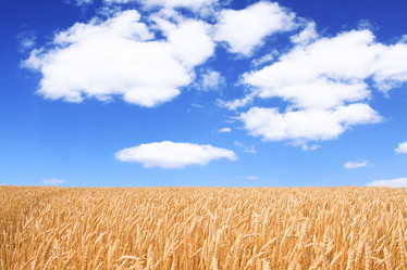 Similar image 200290