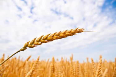 Similar image 200291