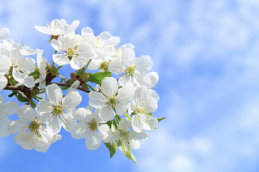 Similar image 200296