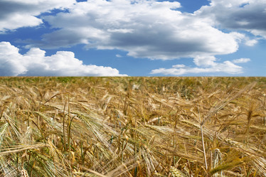 Similar image 200302