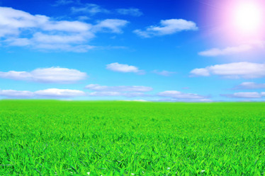 Similar image 200314