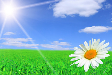 Similar image 200320