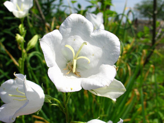 Similar image 200325