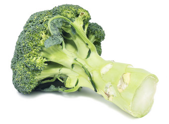 Similar image 200377