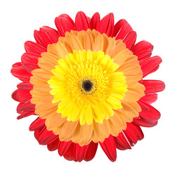 Similar image 200389