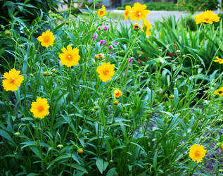 Similar image 200411