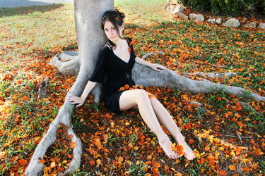 Similar image 200518