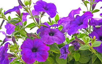 Similar image 200588