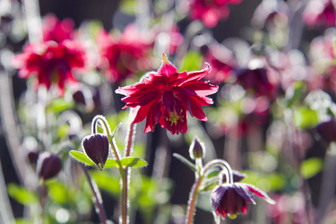 Similar image 200589