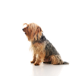 Similar image 200643