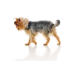 Similar image 200656