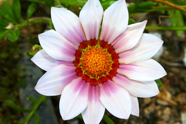 Similar image 201002