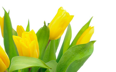 Similar image 201089