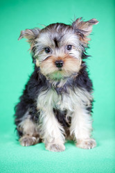 Similar image 201133