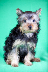 Similar image 201134