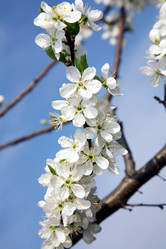 Similar image 201190