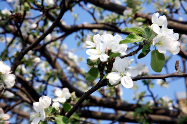 Similar image 201231