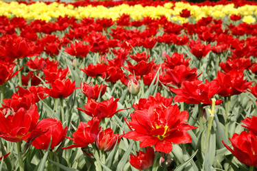 Similar image 201240