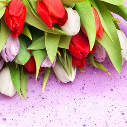 Similar image 201297