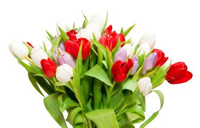 Similar image 201299