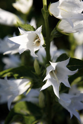 Similar image 201302